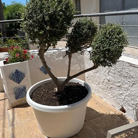 Bed & Breakfast La Pergola